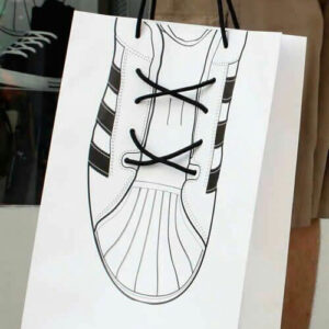 Desinger Shoes Carry Bag