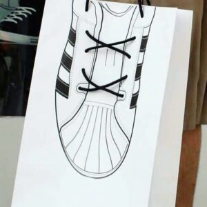 Desinger Shoes Carry Bag