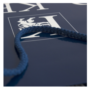 Gloss Finish Printed Paper Carry Bag