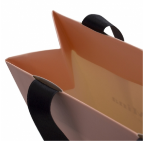 Luxury Printed Carry Bag