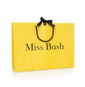 Mat Finishing Printed Carry Bag