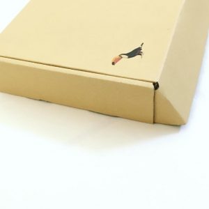 Mailer Corrugated 3 ply Box