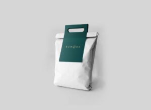 Custom Die Cut Handel Paper Bag (1)