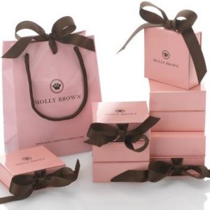 Luxury ribbon style gift carry bags
