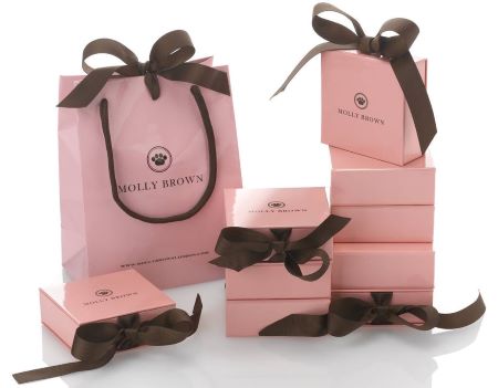 Luxury ribbon style gift carry bags